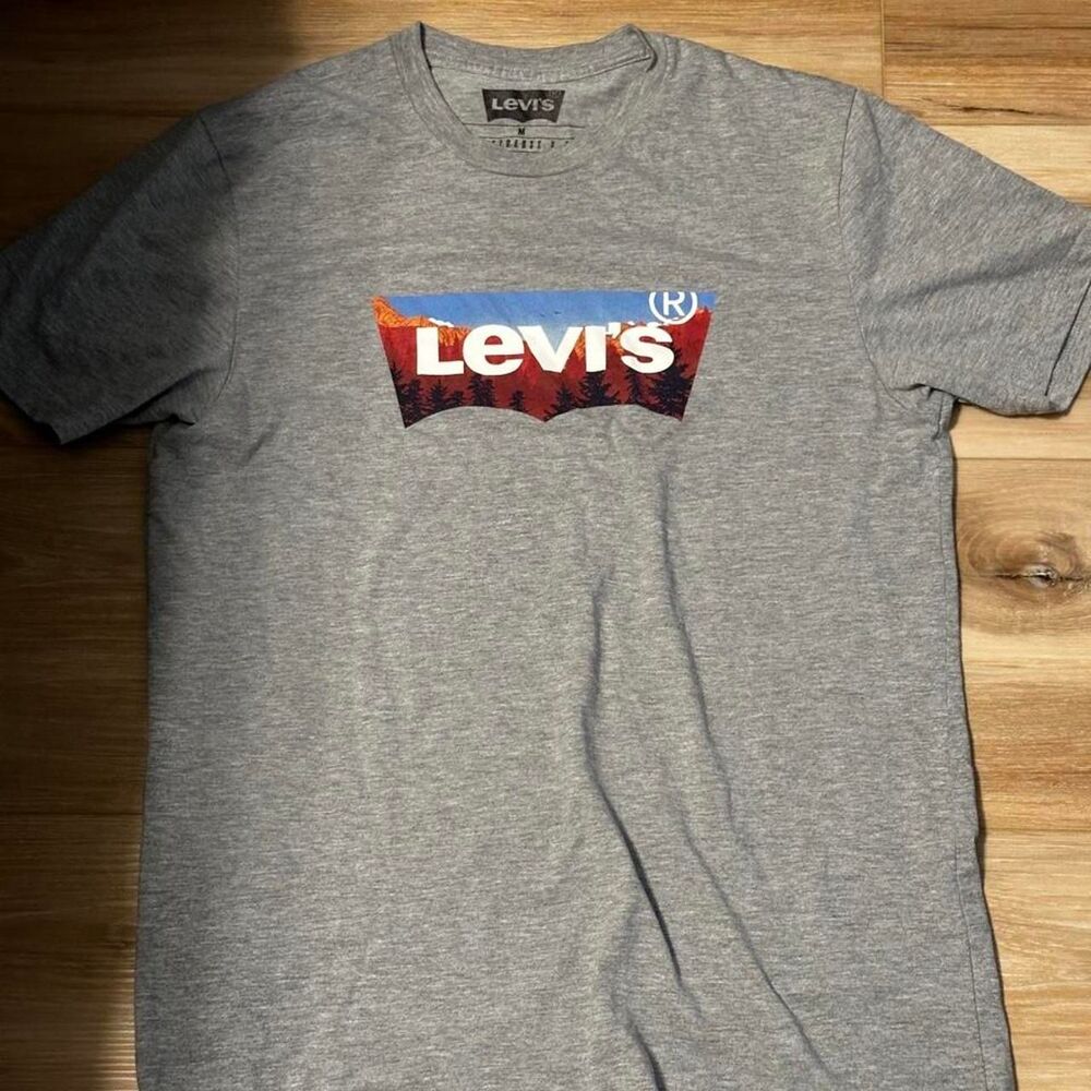 Levi-s Men's Grey T-shirt